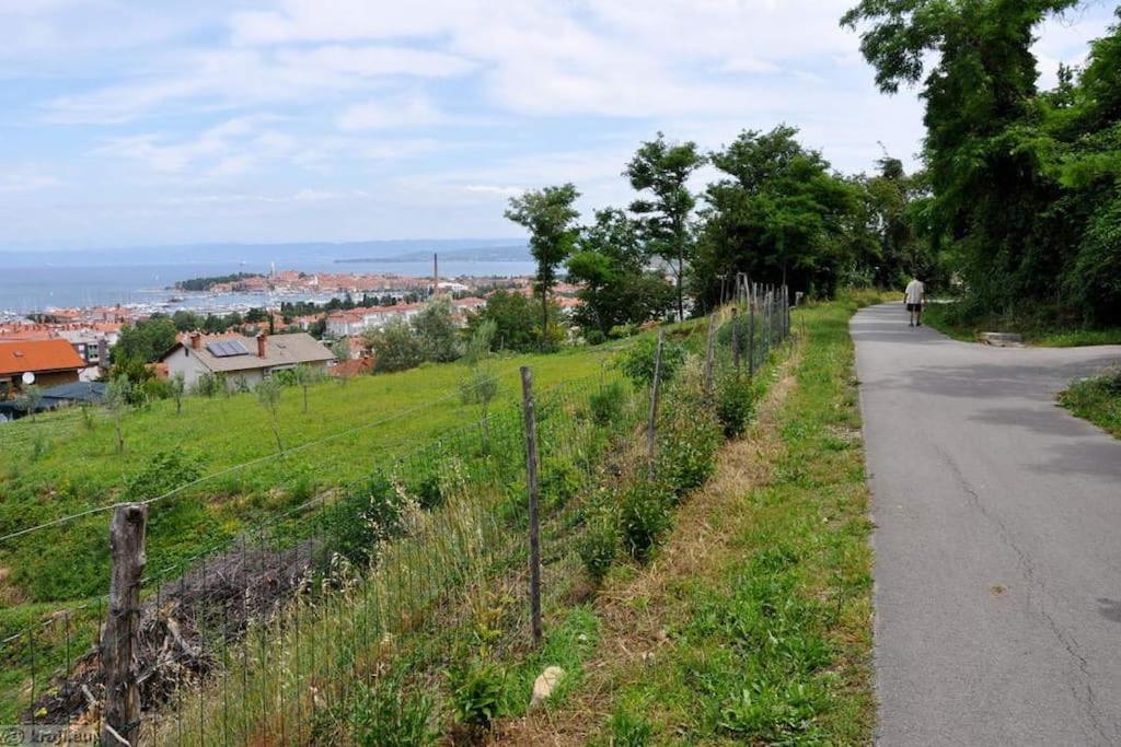 Apartment Izolanka / Great Location / Best Sea And City View Exteriör bild