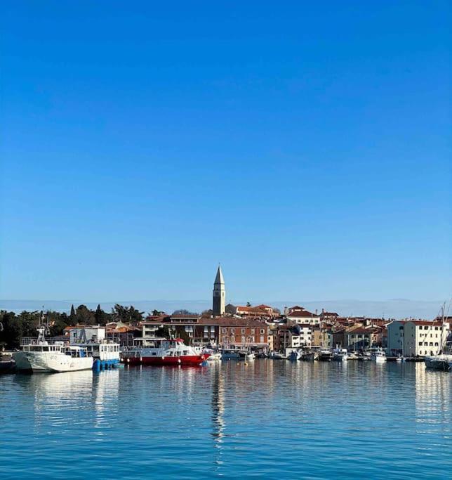 Apartment Izolanka / Great Location / Best Sea And City View Exteriör bild